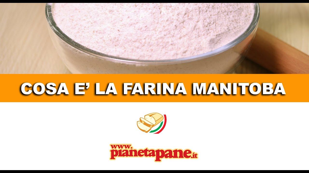Farina Manitoba: che cos'è?