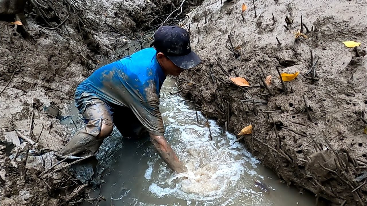 Dọc Theo Con Rạch Khi Thủy Triều Rút - Đang Bắt Cá Trúng Ngay Ổ Bắt Đã Luôn