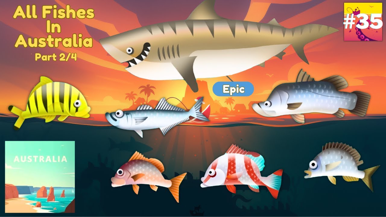 Creatures Of The Deep : All Fishes in Australia Map (2/4)