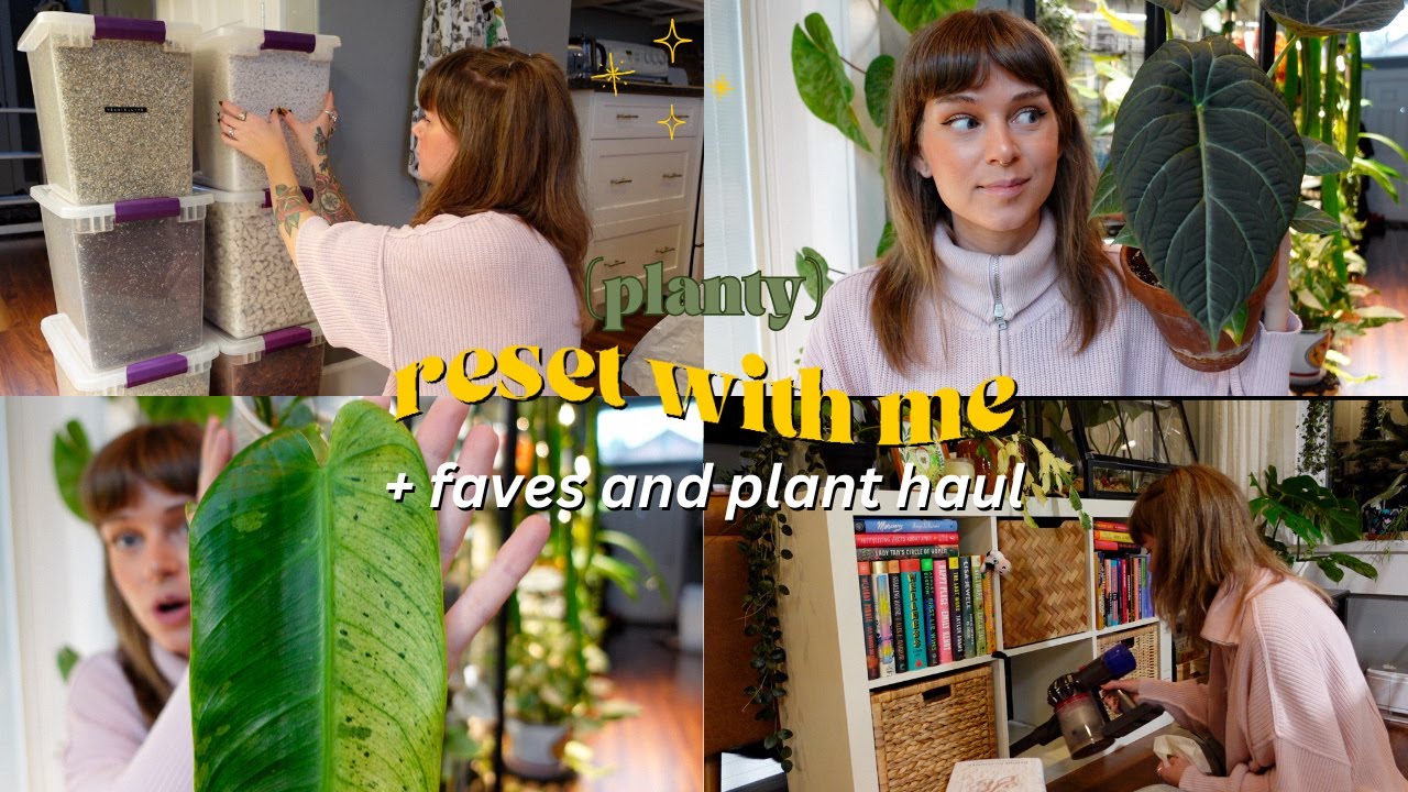 🌿 planty reset for february 💖 organizing potting amendments, new plants, + upcoming plans