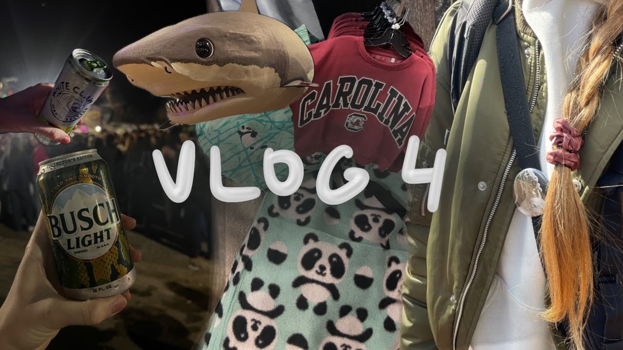 USA vlog 4