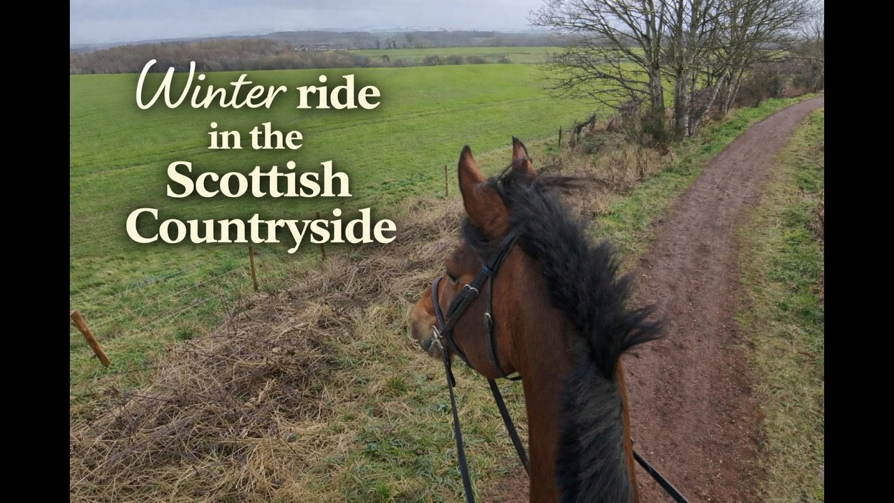 A quiet winter ride through the Scottish countryside on a young horse
