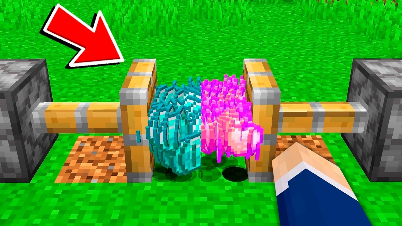 Minecraft, Hvis Jeg Kunne Kombinere!