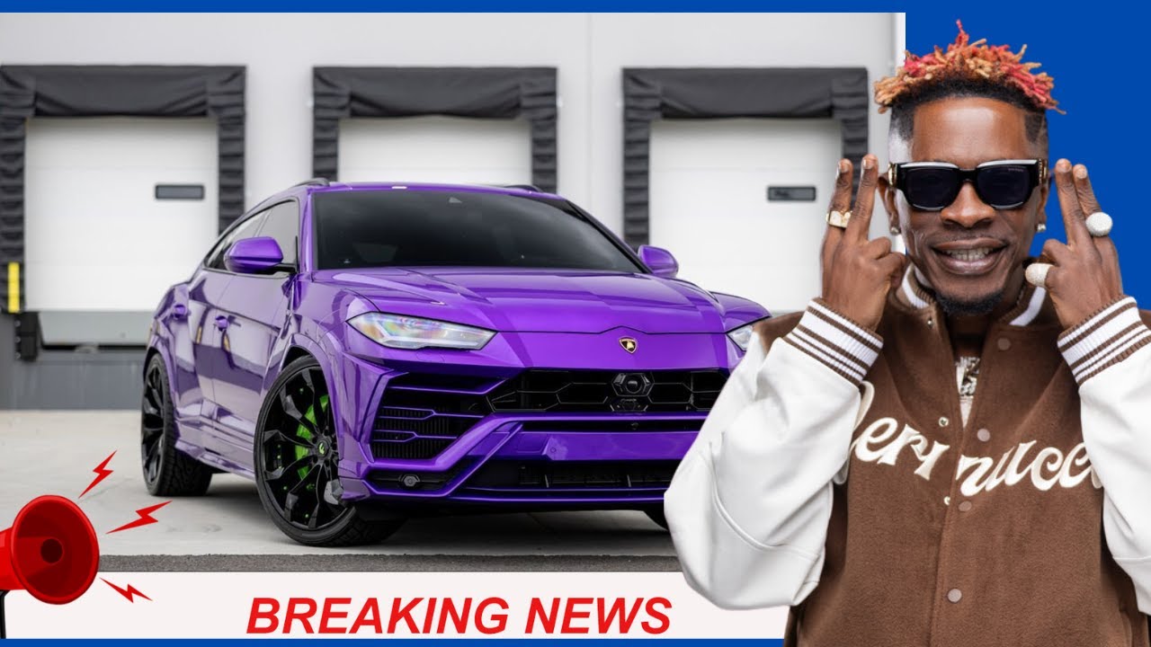 Purple Lamborghini: The Full Story from Office to Tema Harbor