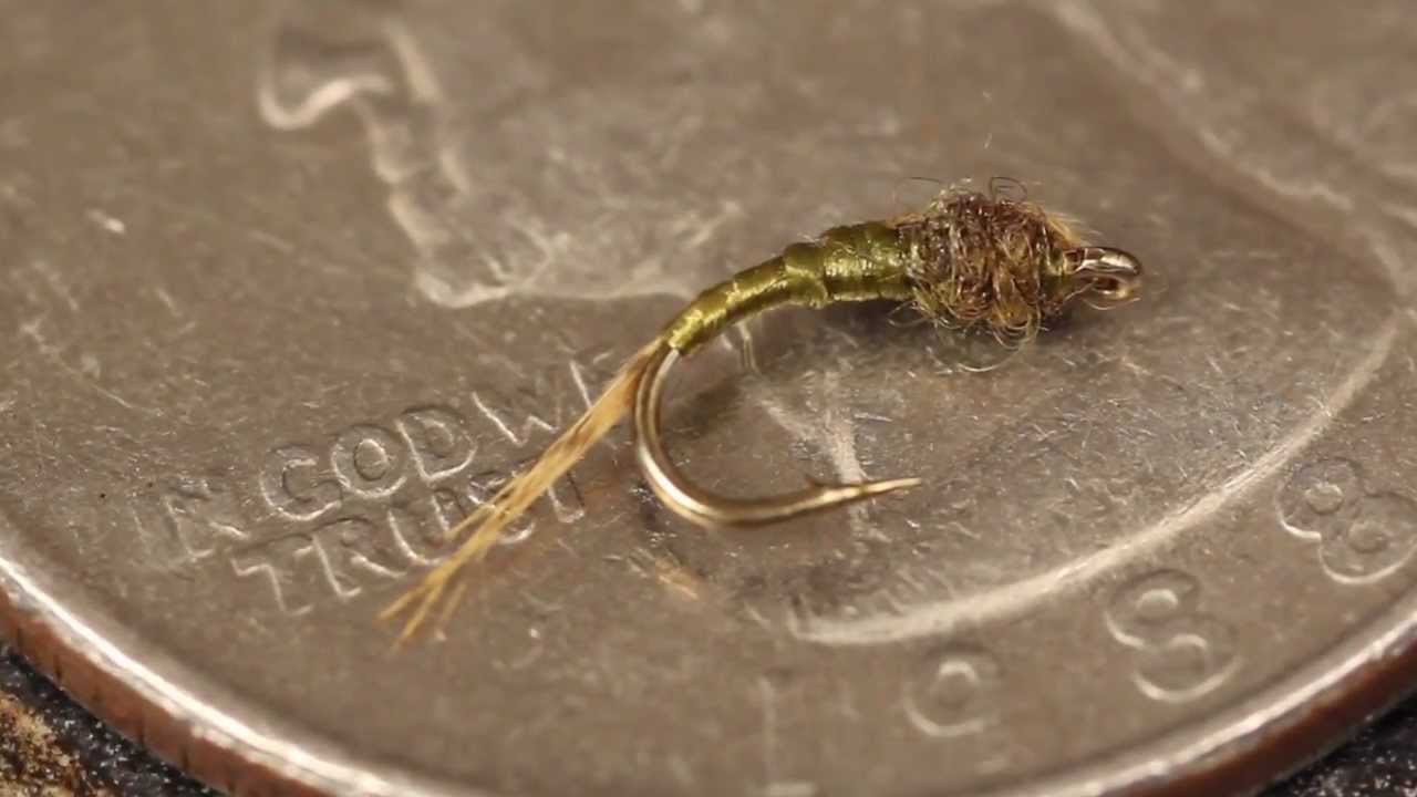 WD-40 Fly