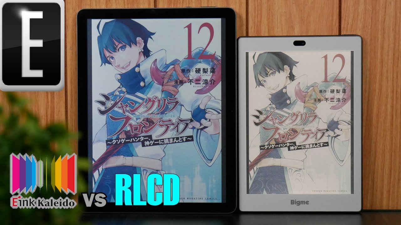 RLCD vs Kaleido Plus COLOR EINK Comparison