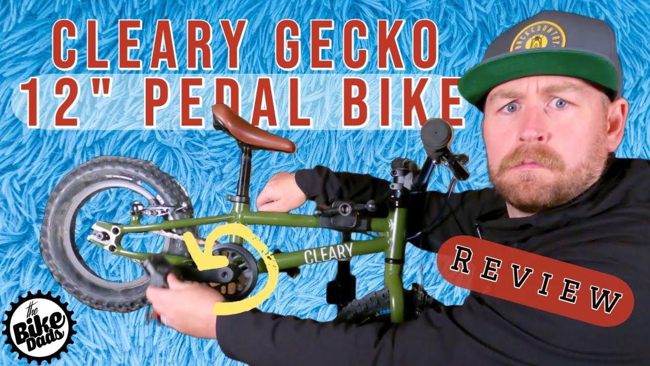 Cleary Gecko 12