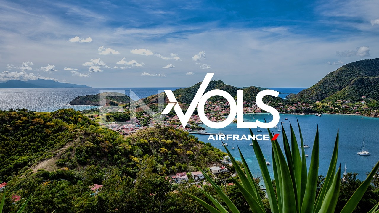 Guide de voyage / Travel Guide - Pointe-à-Pitre (Guadeloupe)