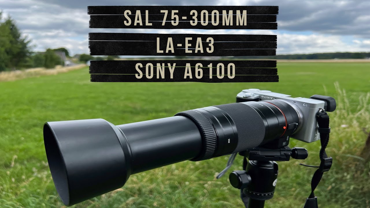 Sony SAL 75-300 mm 4.5-5.6 & LA-EA3 & A6100 APS-C I Alternative to Sony SEL 70-350 mm 4.5-6.3 G ?