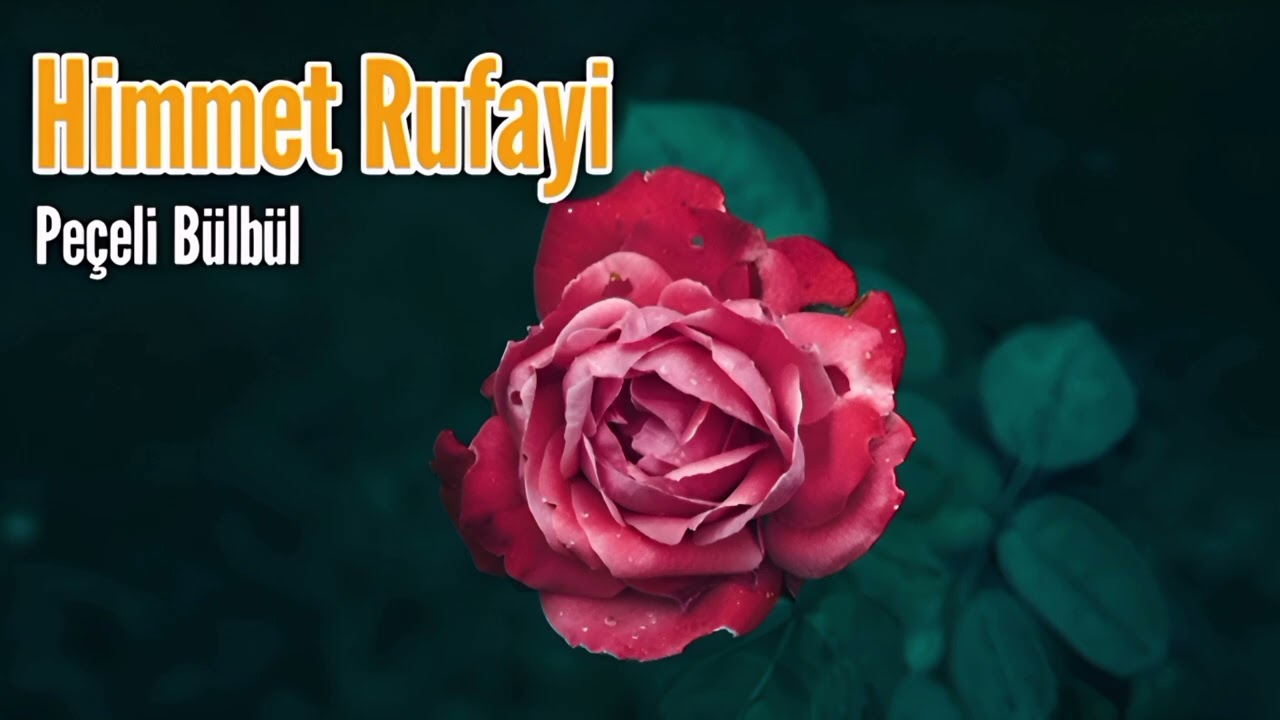 Himmet Rufayi -Peçeli Bülbül