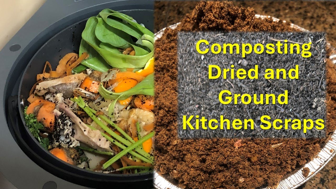 Composting Dried and Ground Kitchen Scraps