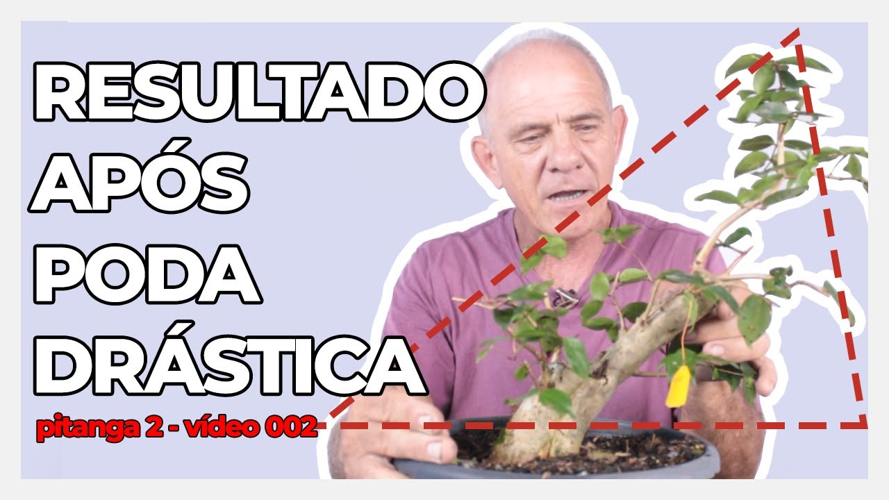 PODA DE FORMAÇÃO EM BONSAI DE PITANGA | Pitanga 2 | Vídeo 002