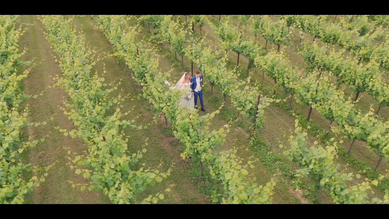 Matrimonio estivo in Tenuta Serradesca (bg)