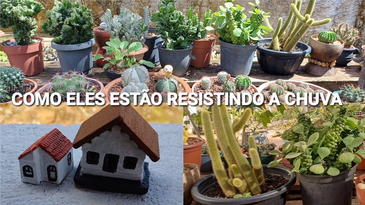 Reformando Itens Pro Jardim🌵Esclarecendo Algumas Coisas❤️