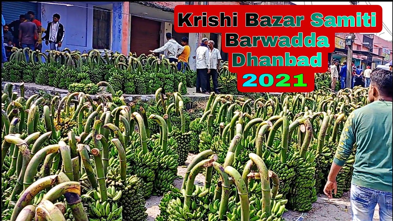 Krishi Bazar Samiti Barwadda Dhanbad|Dhanbad Krishi Bazar Vlogs|Dhanbad Kela Mandi Phal Markets