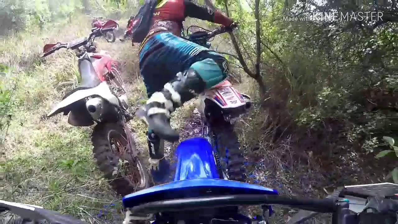 TTR 230 VS CRF 230