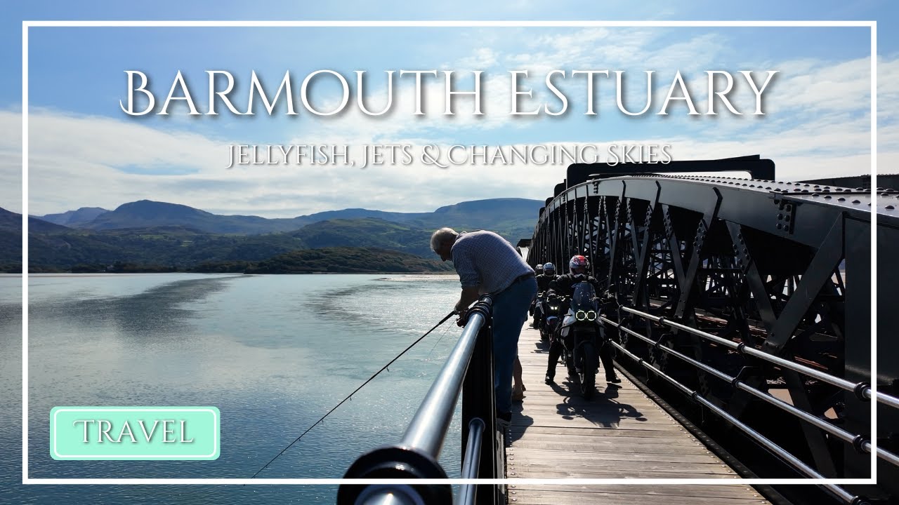 You Won’t Believe What I Saw at Barmouth Estuary…