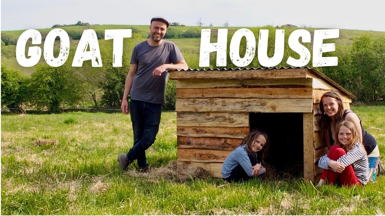 Building a Simple Goat house for our Pygmy Goats out of Pallets! Low Cost Budget