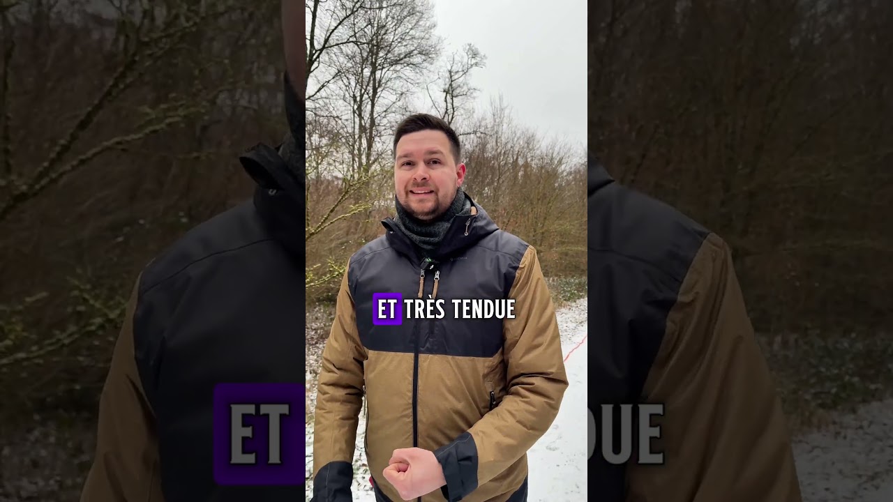 🐾 Cercle vicieux des chiens agressifs