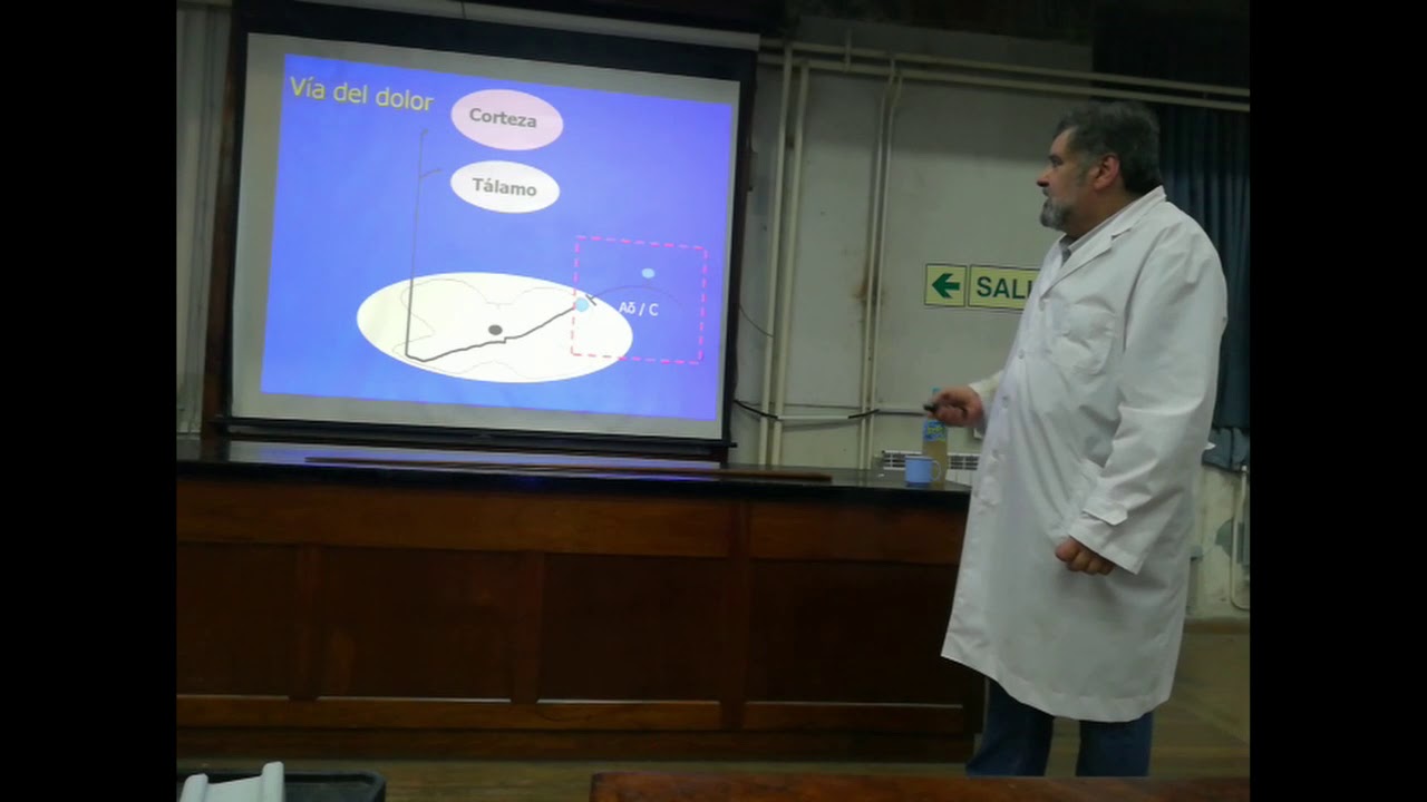 Antiinflamatorios no esteroideos (AINES) - Arnaldo Armesto