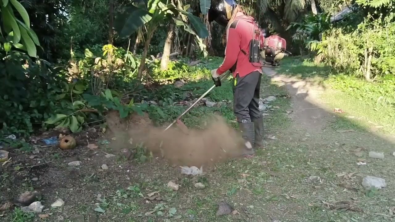 Potong rumput halaman rumah 16 juli 2025 #fyp