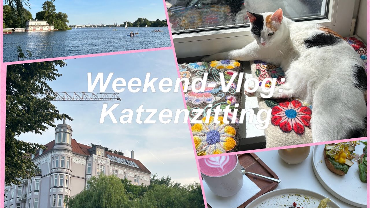 Katzenzitting am Mühlenkamp