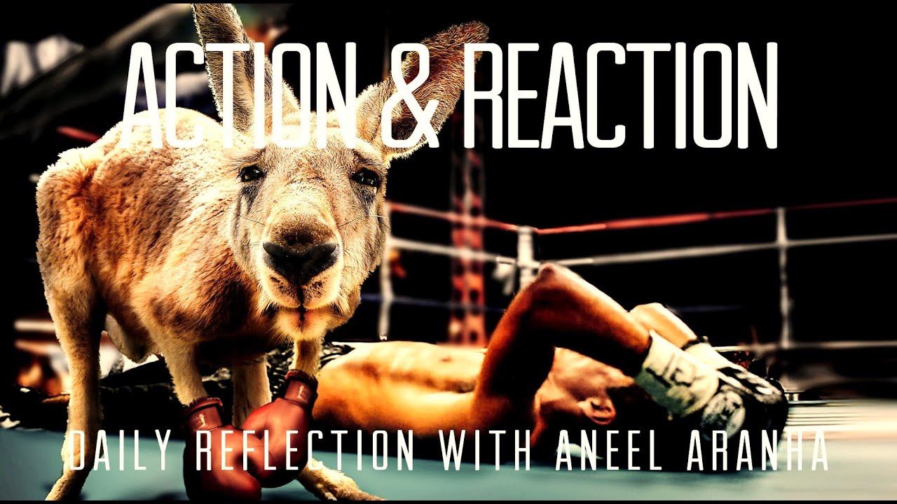 Daily Reflection with Aneel Aranha | Luke 9:1-6 | September 23, 2020