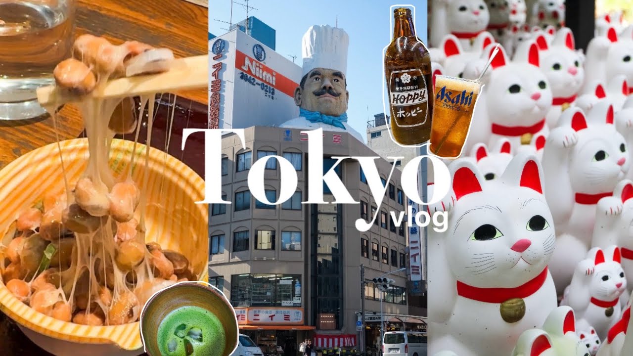 Tokyo vlog/Japan travel/Gotokuji temple/Asakusa festival/kappabashi/hoppy/natto all-you-can-eat/game