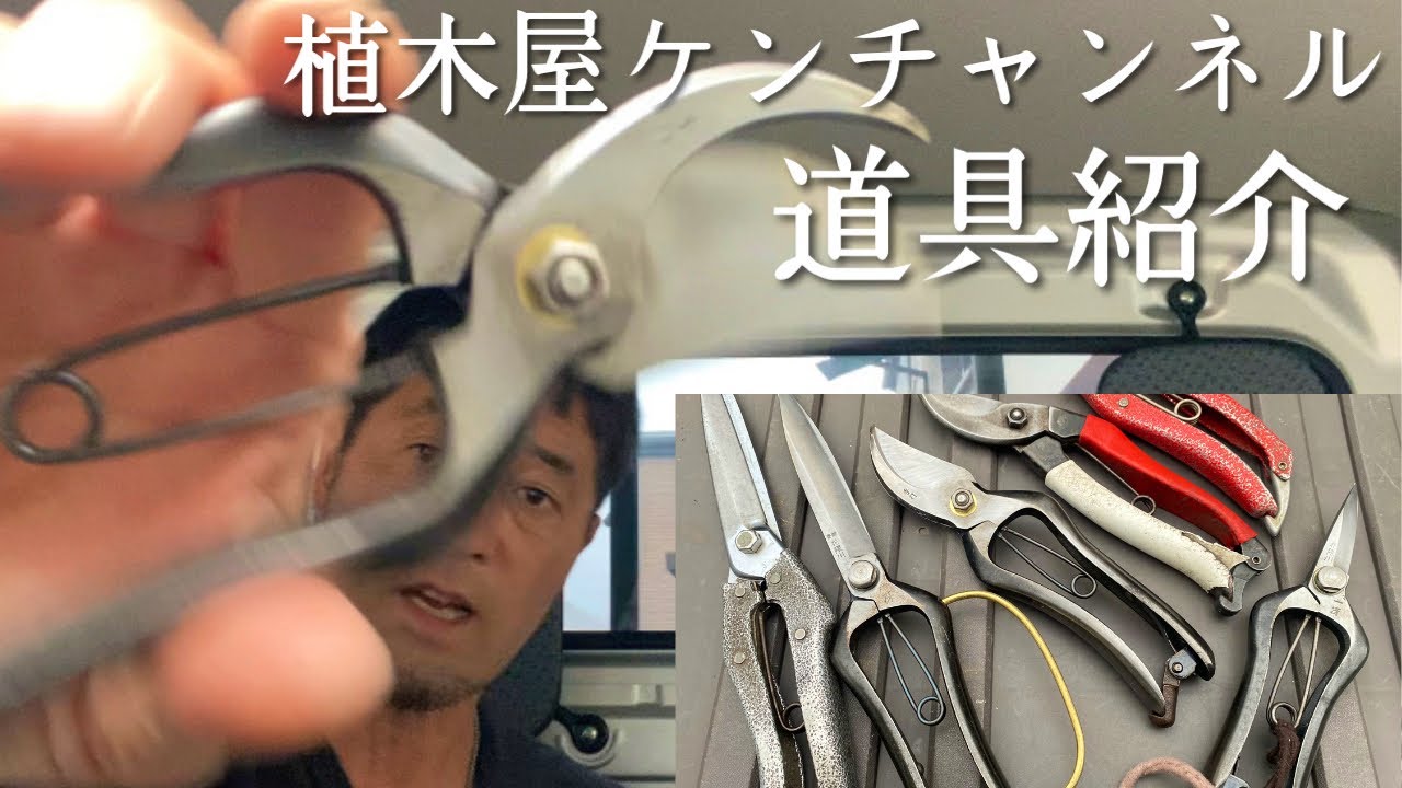 植木屋ケンチャンネルが使ってる道具を紹介【剪定鋏、片手刈り込み鋏、芽切り鋏】