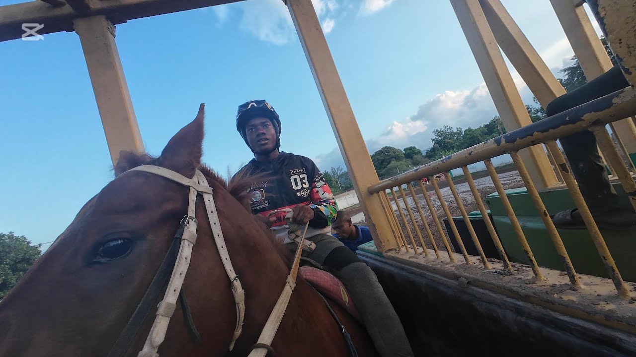 CAYMANAS TRACK GATE MORING EXERCISE MARCH 18 2025