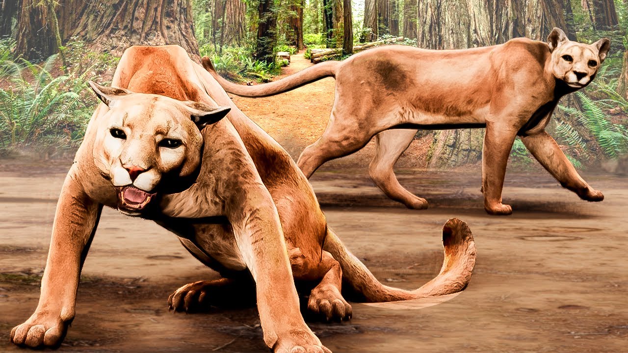 Caçando com o PUMA, Cercamos o URSO PARDO, Consegui uma FAMÍLIA - The Wilds 🦁