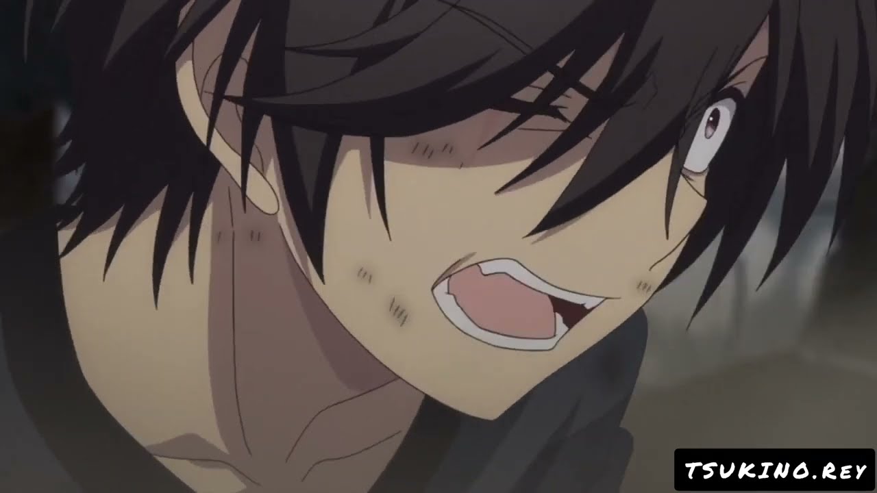 Шарлотта - мы не умрём.. [AMV]