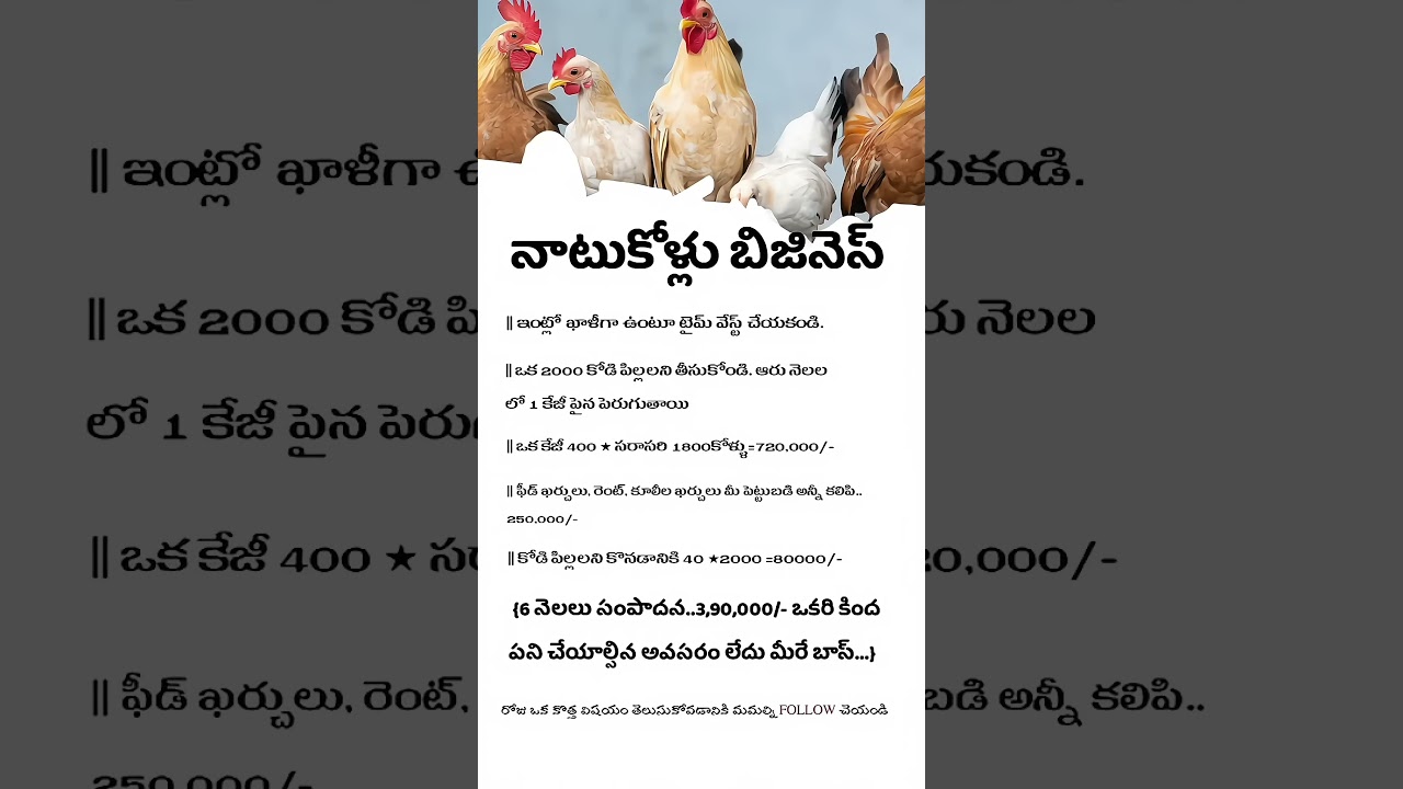 Business Tips Telugu || Native Chicken Business Idea || Business Marketing #business #businessgrowth