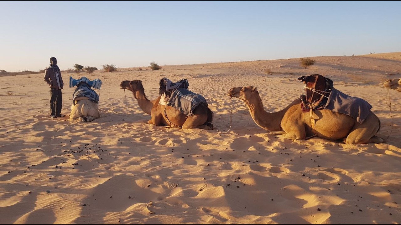 Sénégal N°1 (30mn)