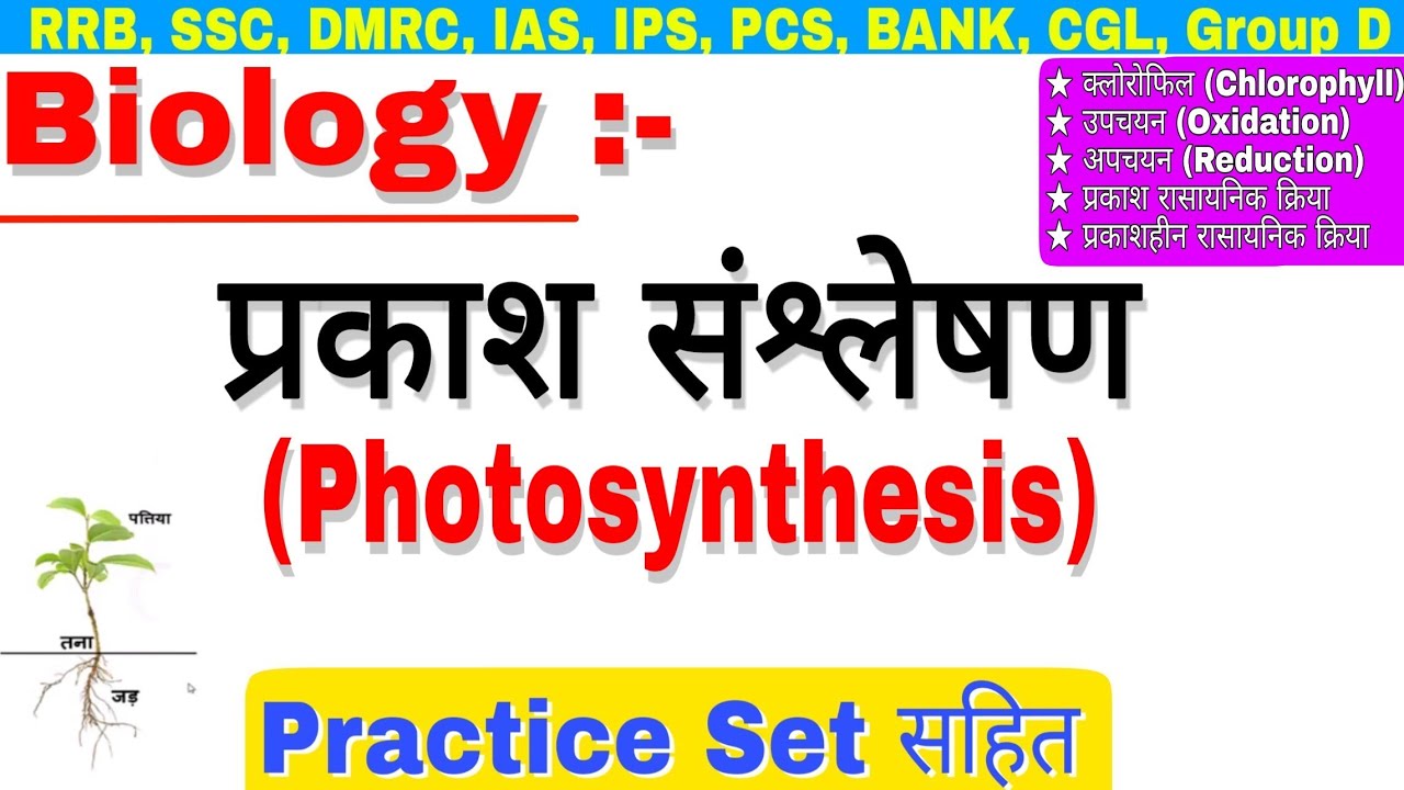 प्रकाश संश्लेषण | Photosynthesis |जीव विज्ञान |Biology|Science, Plant tissue,RRB,ALP,DRDO,ISRO, exam