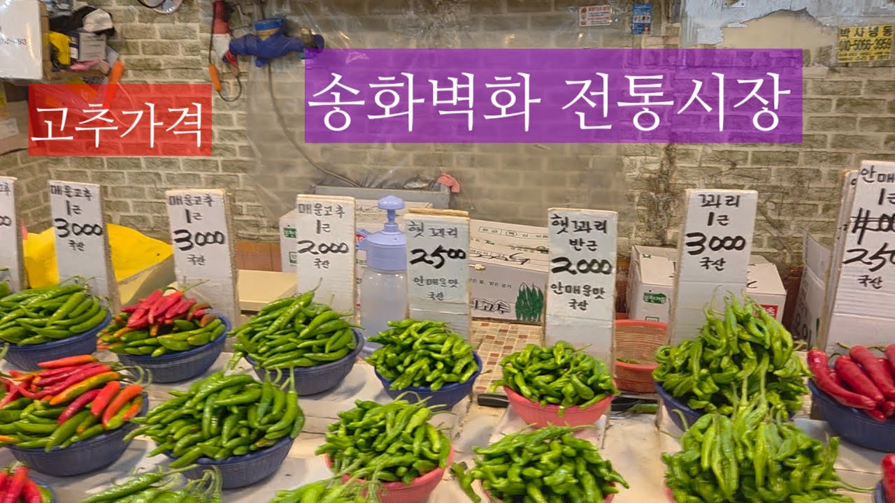 우장산역 송화벽화전통시장