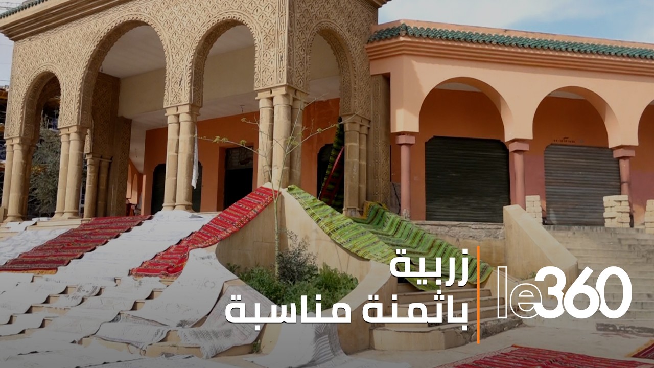 لا تزال الزربية الجميلة للخميسات محافظةً على مكانتها، صامدةً أمام مختلف الصعوبات