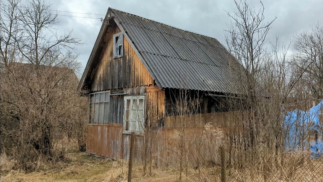 Купив старий будинок 🏡 з ділянкою біля Карпат. #1 Розчищення ділянки від дерев.