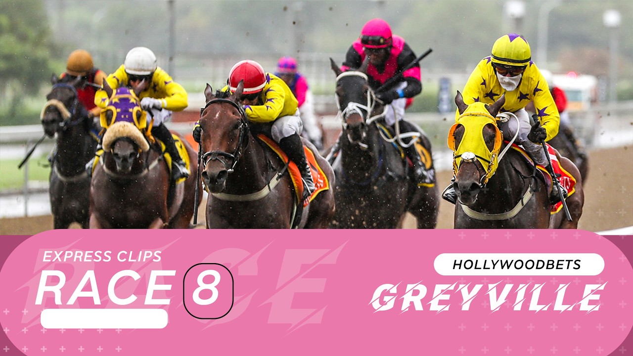 20260227 Hollywoodbets Greyville, заезд 8, выиграло INDECENT PROPOSAL