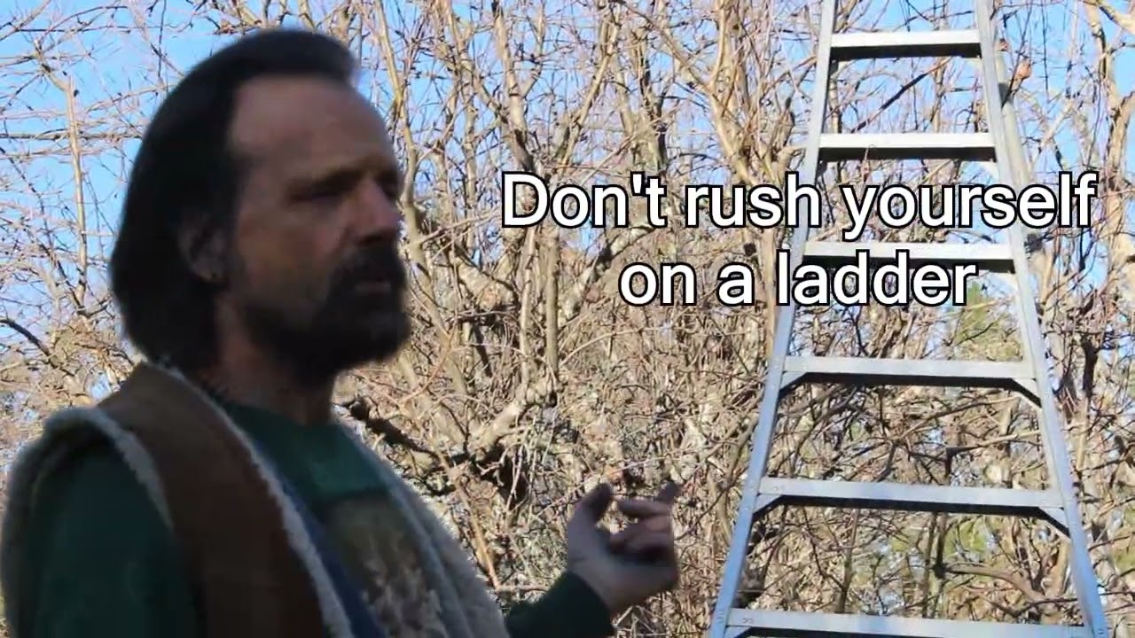 Orchard Ladder Safety and Technique