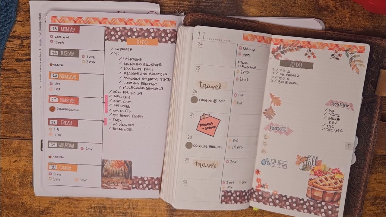 Sterling Ink N2 и Bujo PWM