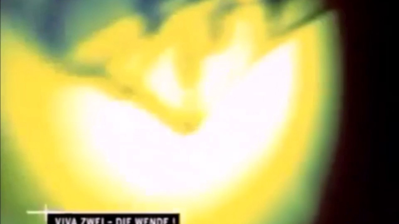 [ARCHIVE] Viva Zwei Clips Collection 3