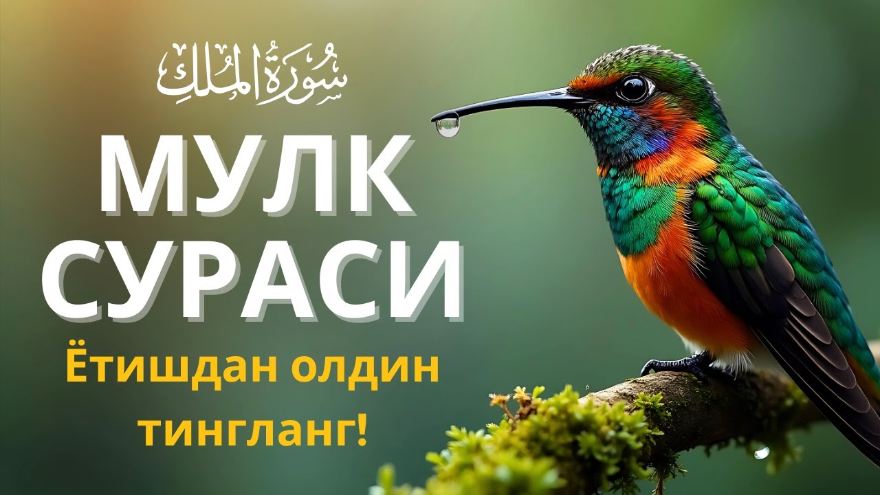 Мулк сураси - Ётишдан олдин тингланг! Тонги дуо / Mulk surasi - сура Мулк