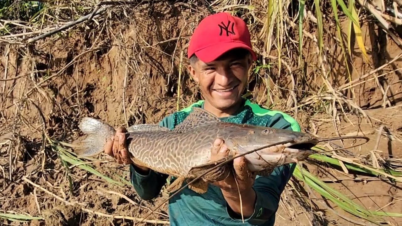 Pesca en AMAZONAS Bolivia 🇧🇴 pescamos de todo 😀👍