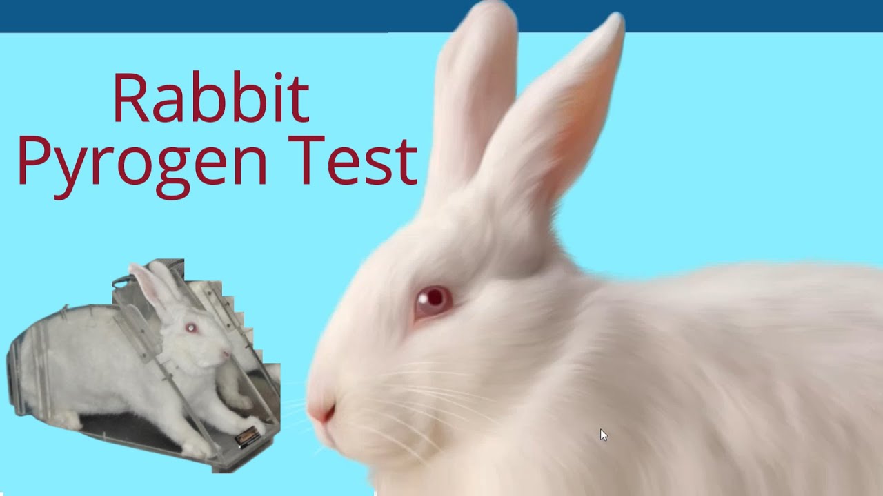 Study of Pyrogen Test for Parenteral Product by Rabbit Method using Ex-pharm Software