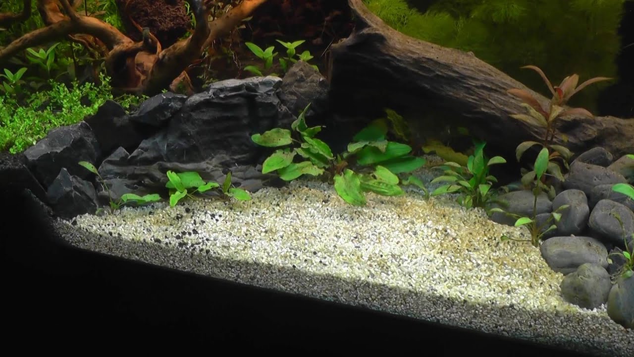 3  Jest tydzien drugi, sa babelki i sa Okrzemki