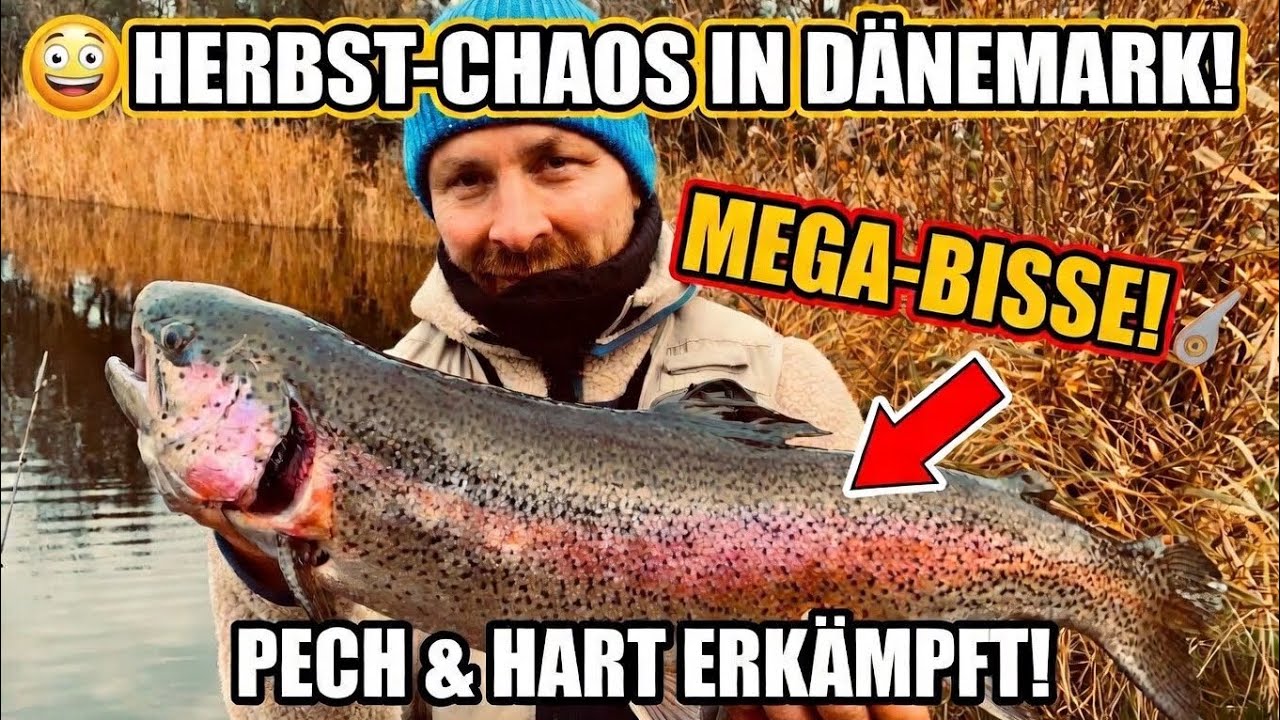 Dänemark im Herbst! 🎣 Forellen hart erkämpft mit Pleiten, Pech und Pannen.