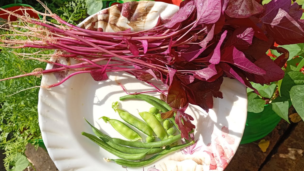 Recipe with full day vlog #food 