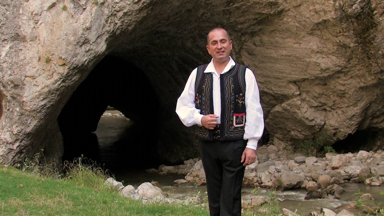 Liviu Dica   Nu va las mare avere