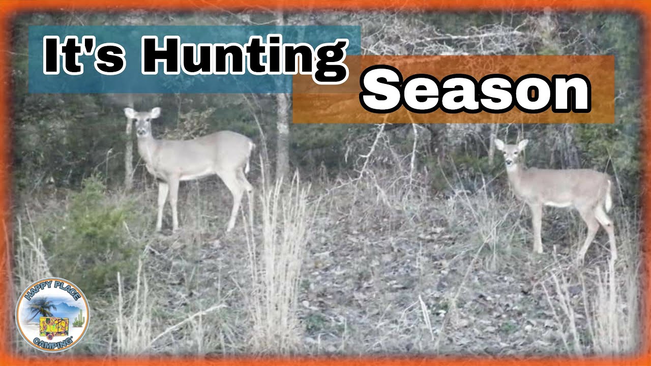 Look At All Those Deer | Stockton Lake Missouri